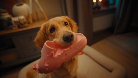 Своё на уме