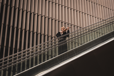 C06. BEST CRAFT OF TV/OLV VIDEO / Лучшее мастерство исполнения видео