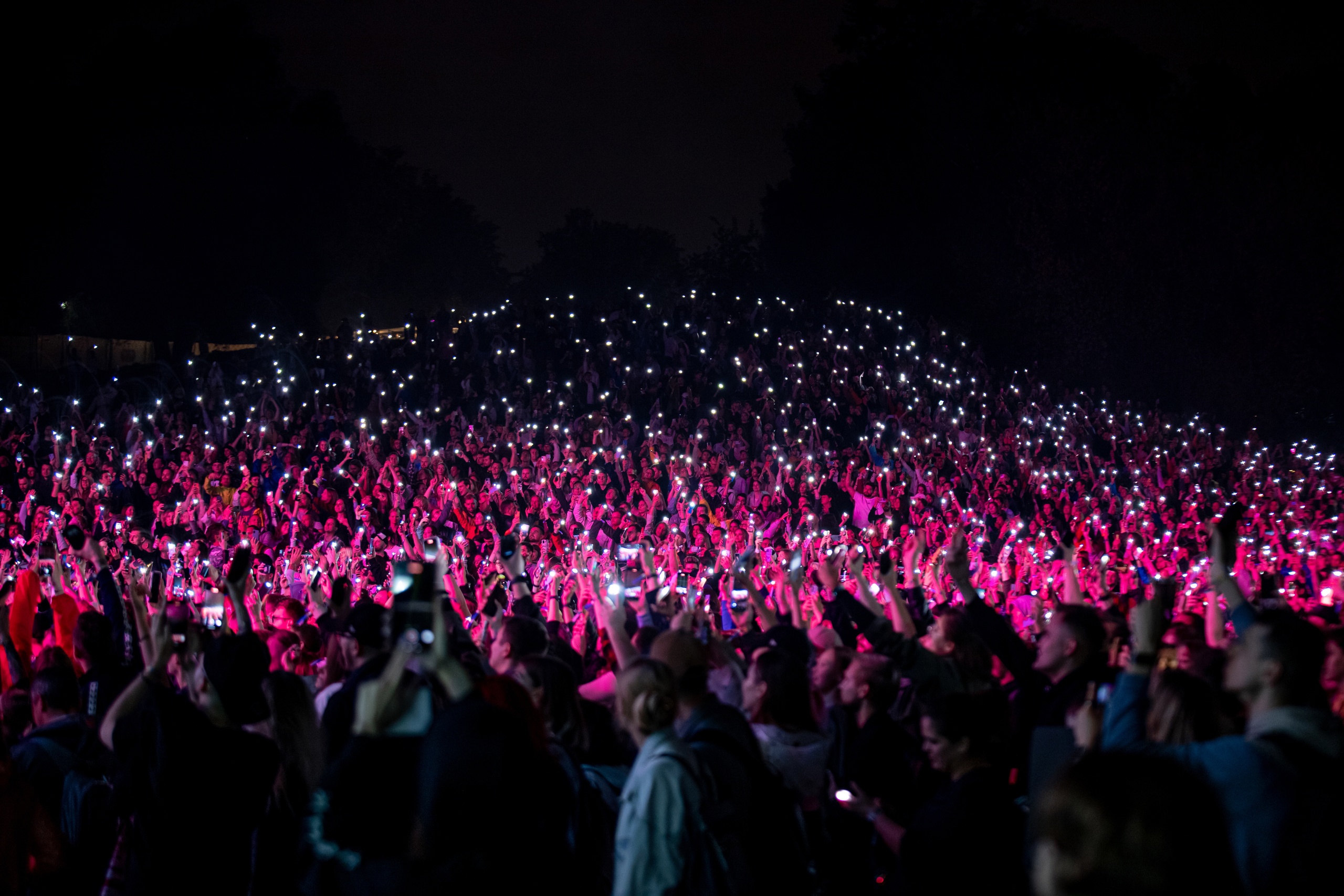 Медведи, утки и капибары: как покорить сердца айтишников с помощью мемов и тотемов