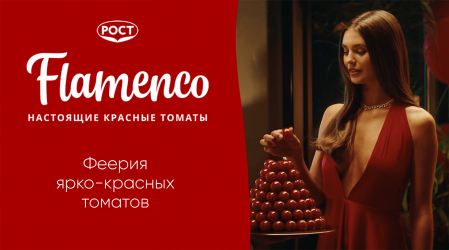 Феерия страсти ярко-красных томатов Flamenco