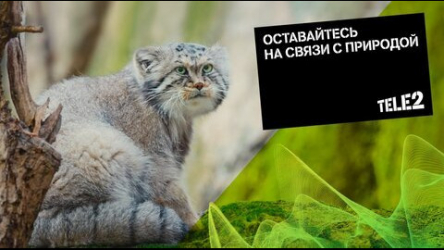 Tele2. На связи с природой