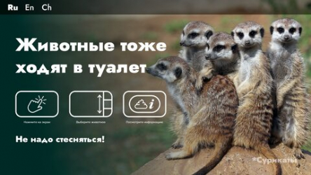 Животные тоже ходят в туалет