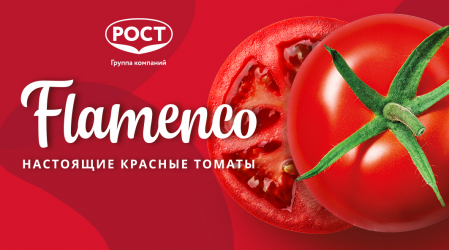 Развитие бренда ярко-красных томатов Flamenco – от стандартного подхода маркетинговой кампании к феерии страсти