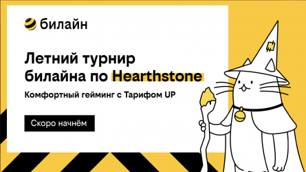 Первый киберспортивный турнир на пикнике