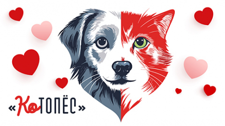 14 февраля и КОтоПёс: от локальной HR-акции к большому внешнему проекту