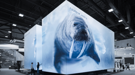 «Погружаясь в Арктику»